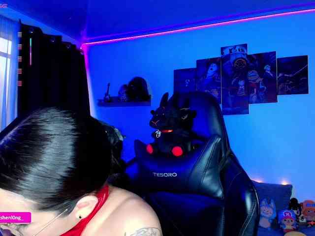 Nicorobin webcam