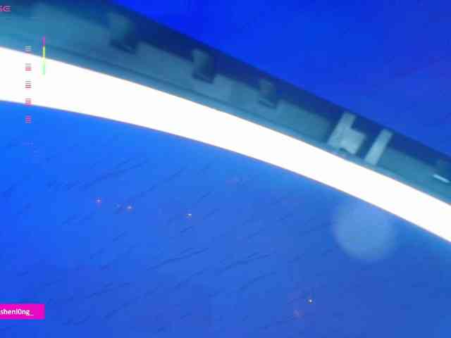 Nicorobin webcam