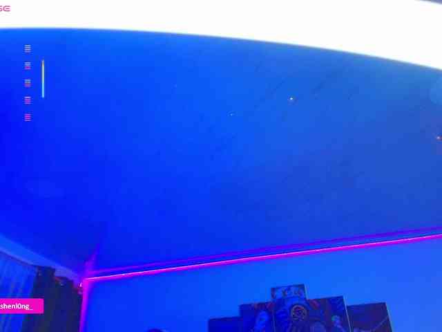 Nicorobin webcam