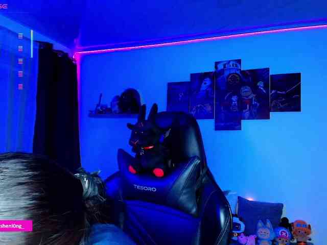 Nicorobin webcam