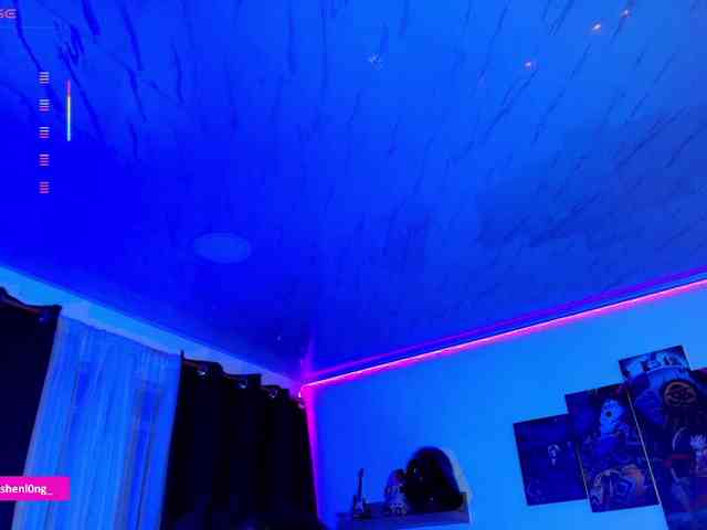 Nicorobin webcam