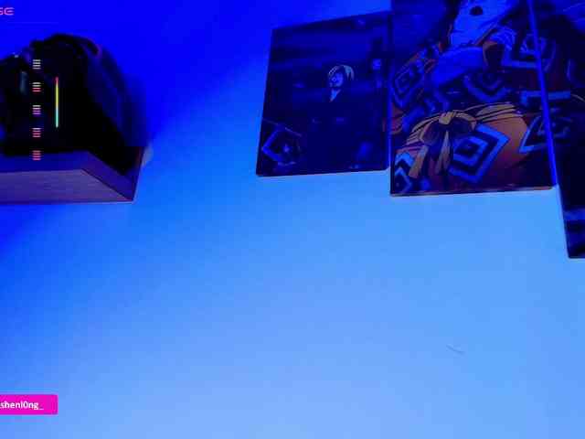 Nicorobin webcam