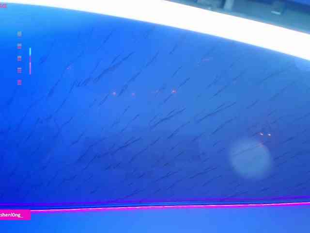 Nicorobin webcam