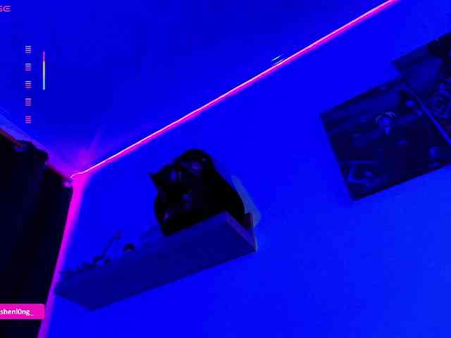 Nicorobin webcam