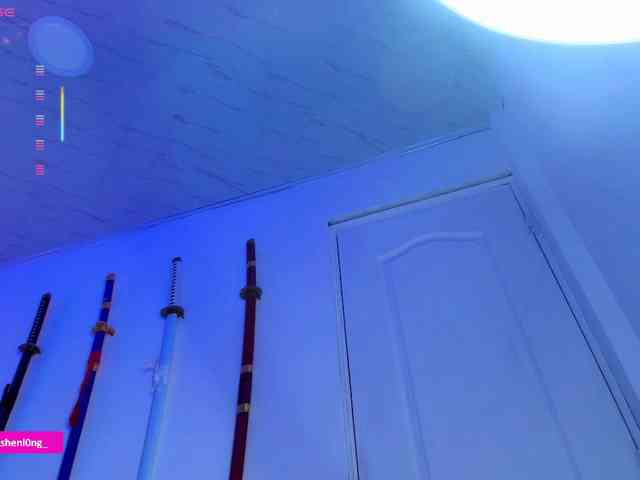 Nicorobin webcam