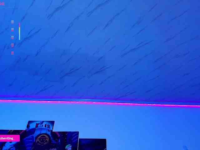 Nicorobin webcam
