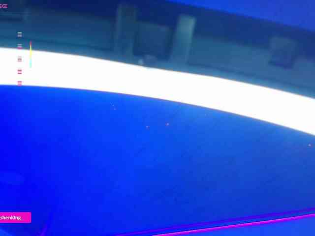Nicorobin webcam