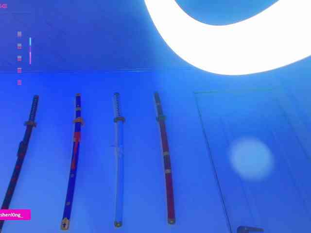 Nicorobin webcam