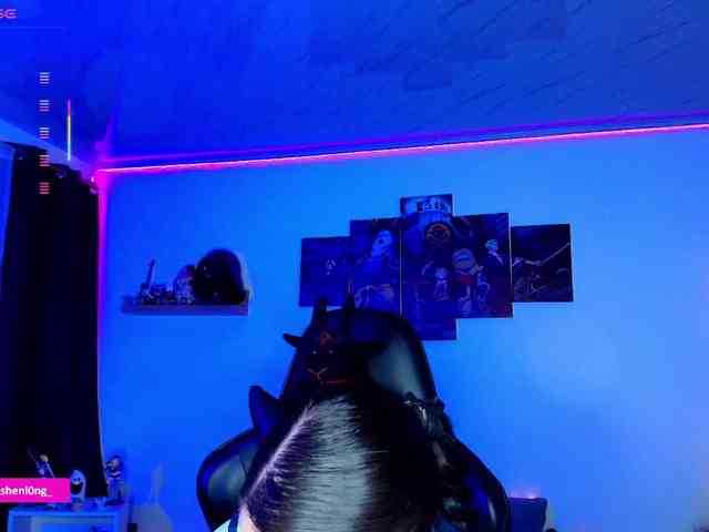 Nicorobin webcam