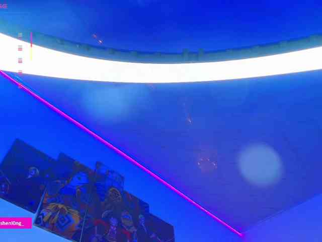 Nicorobin webcam