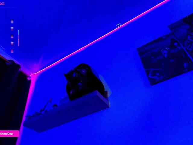 Nicorobin webcam