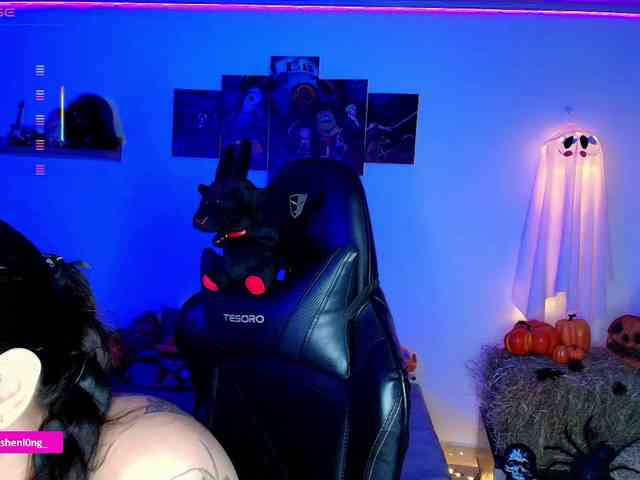 Nicorobin webcam