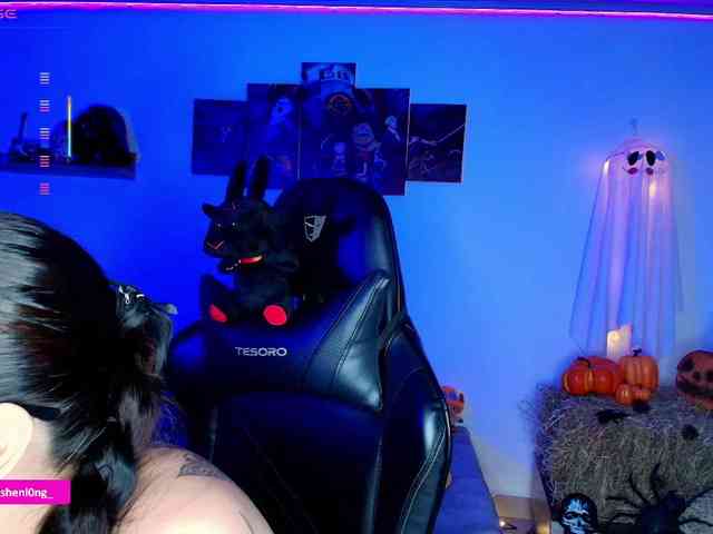 Nicorobin webcam
