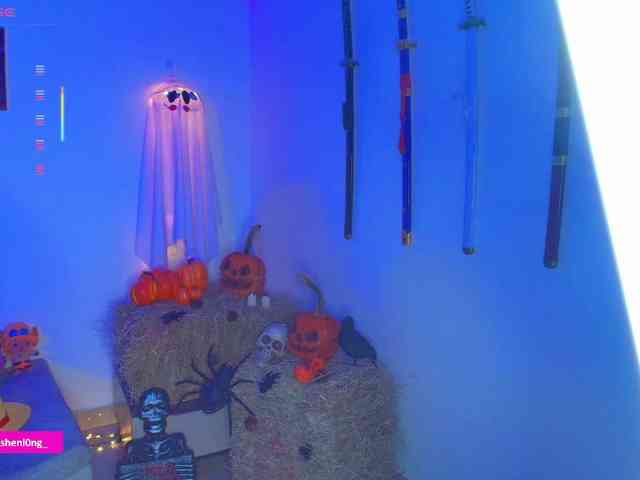 Nicorobin webcam