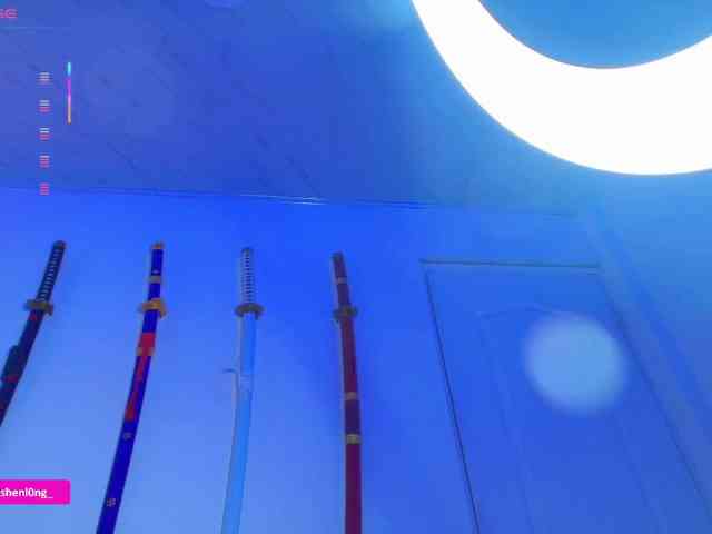 Nicorobin webcam