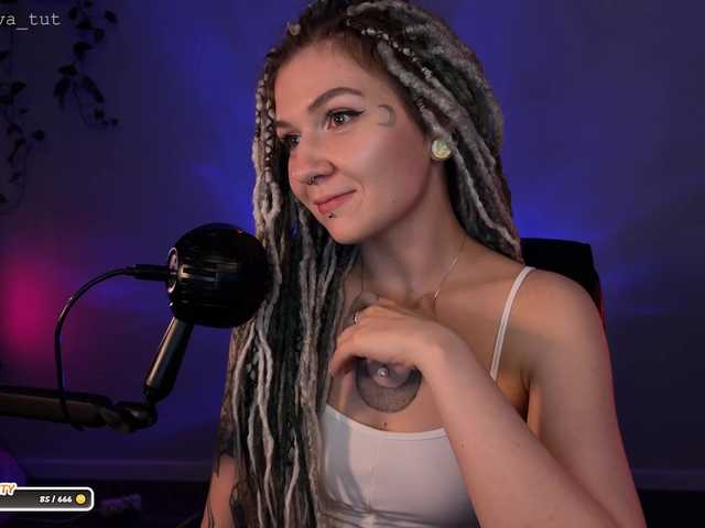 SOVA_tut webcam