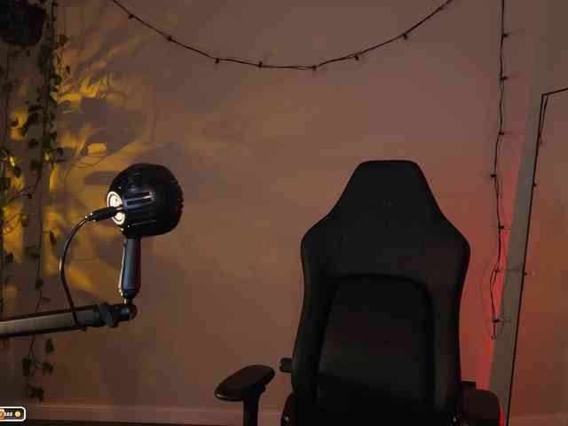 SOVA_tut webcam