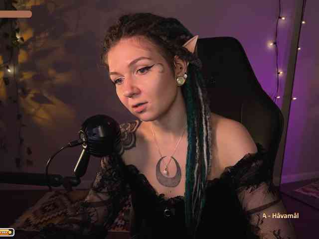 SOVA_tut webcam