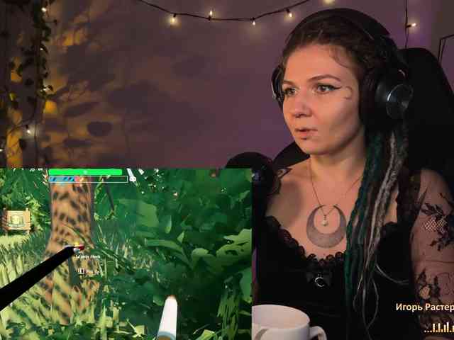 SOVA_tut webcam