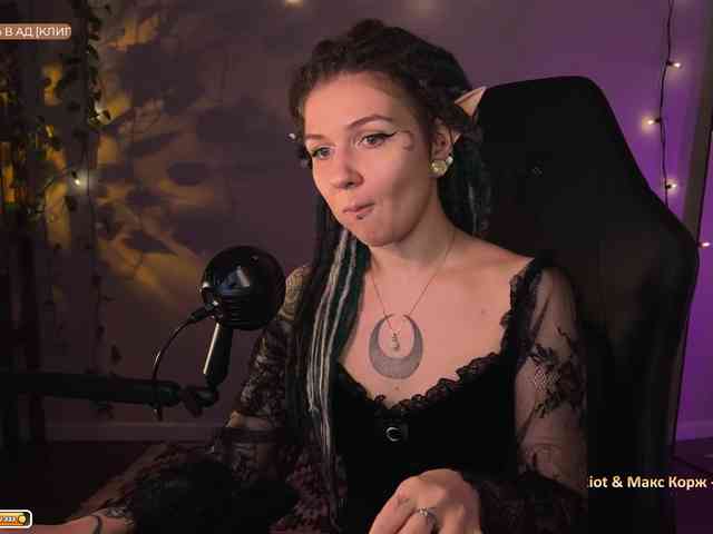 SOVA_tut webcam
