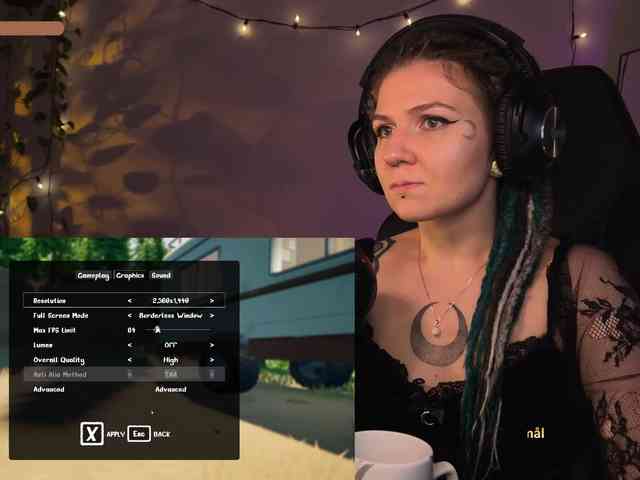 SOVA_tut webcam