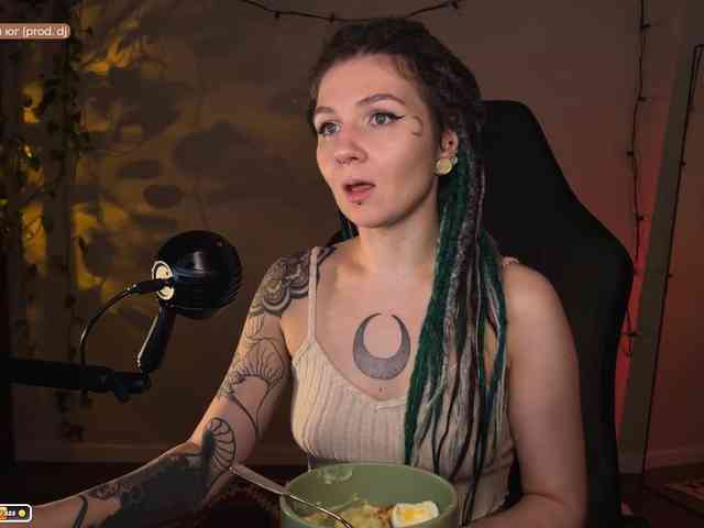 SOVA_tut webcam