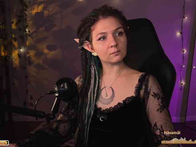 SOVA_tut webcam