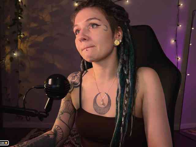 SOVA_tut webcam