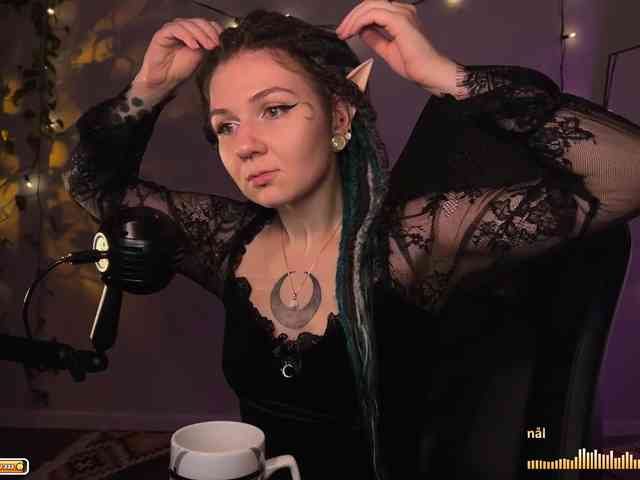 SOVA_tut webcam