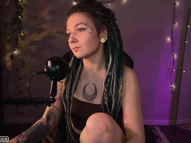 SOVA_tut webcam