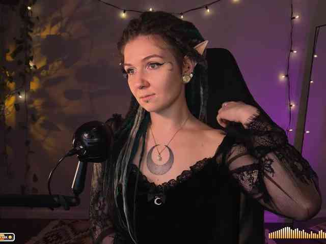 SOVA_tut webcam