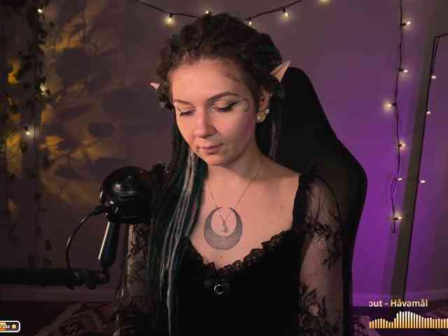 SOVA_tut webcam