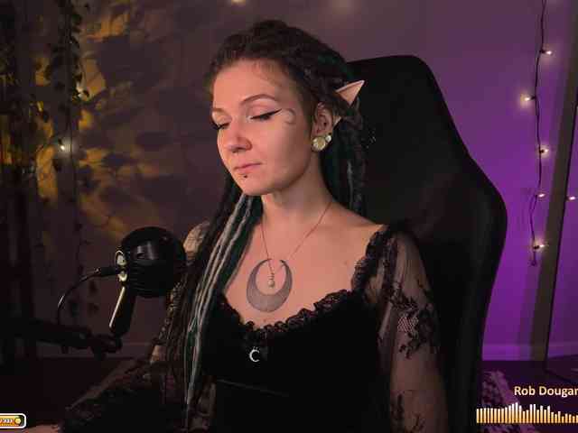 SOVA_tut webcam