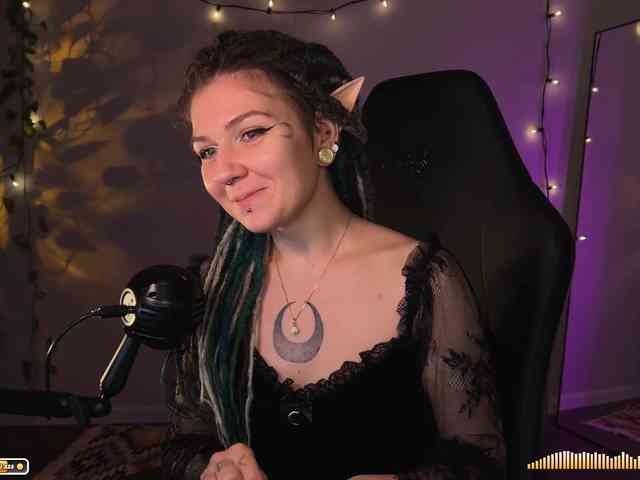 SOVA_tut webcam