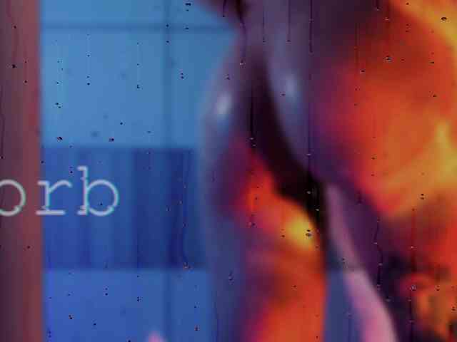 SOVA_tut webcam