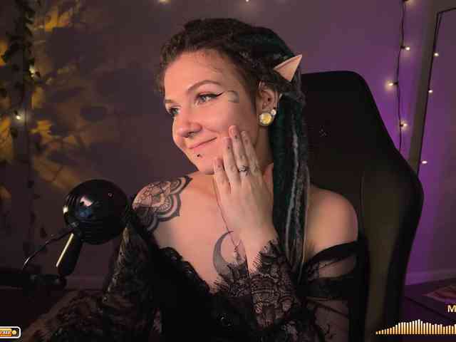 SOVA_tut webcam