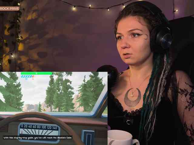 SOVA_tut webcam