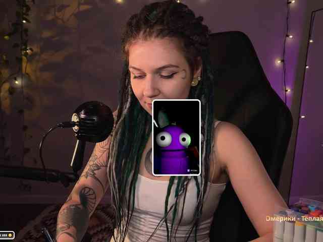 SOVA_tut webcam