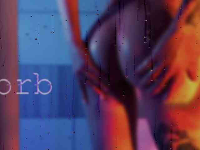 SOVA_tut webcam