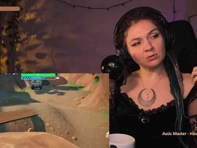 SOVA_tut webcam