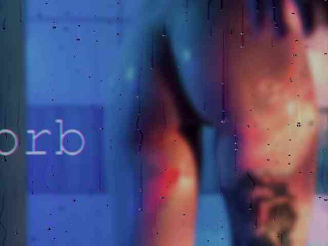 SOVA_tut webcam