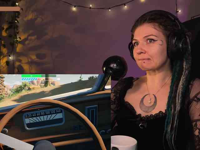 SOVA_tut webcam