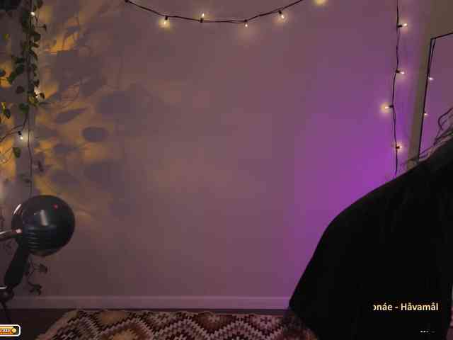 SOVA_tut webcam