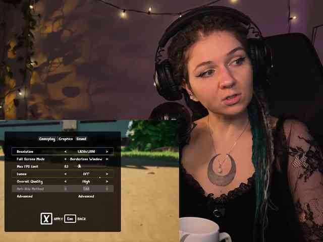 SOVA_tut webcam