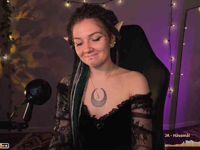 SOVA_tut webcam