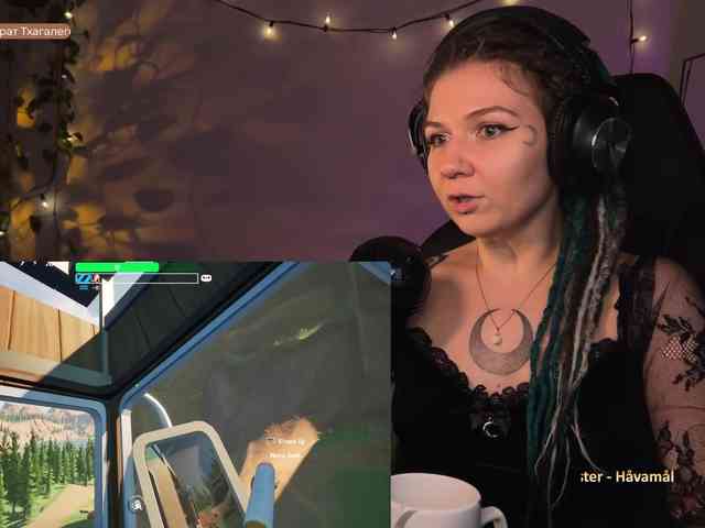SOVA_tut webcam