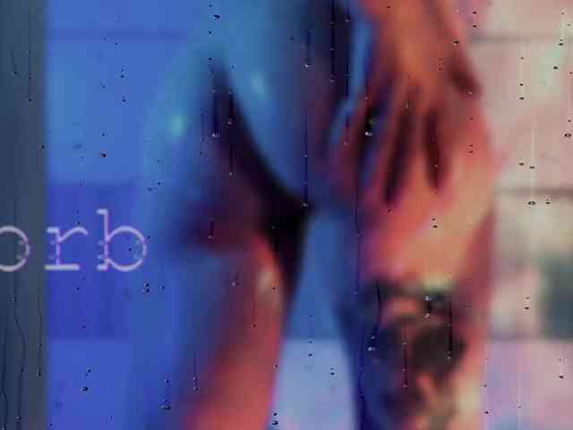 SOVA_tut webcam