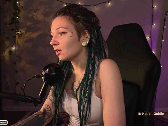 SOVA_tut webcam