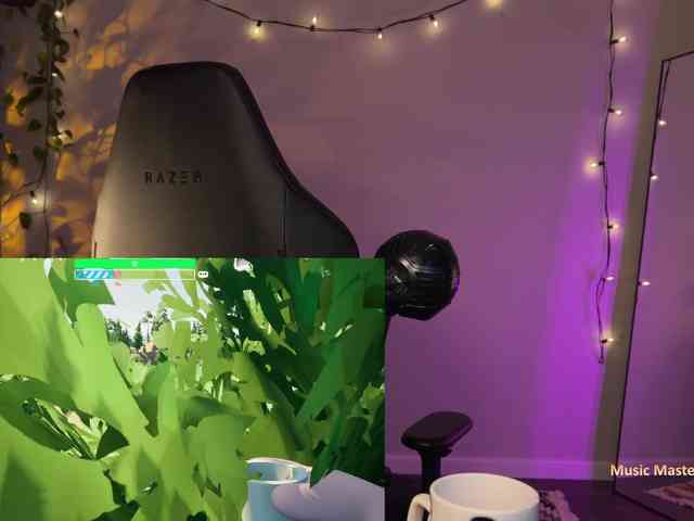 SOVA_tut webcam