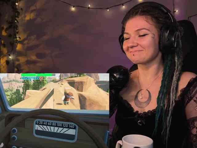 SOVA_tut webcam
